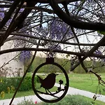 Buzzati Frühstückspension Belluno
