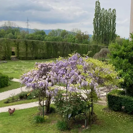 Bed & Breakfast Buzzati