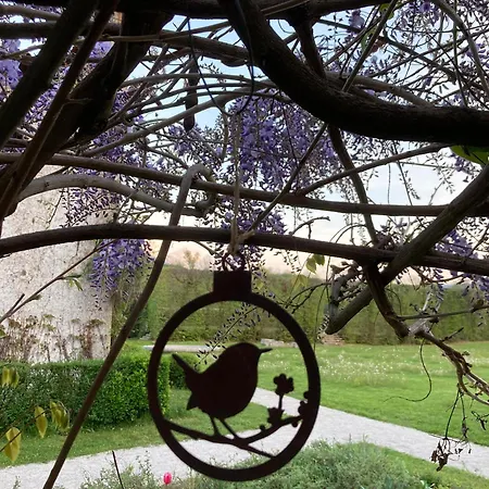 Buzzati Bed & Breakfast Belluno